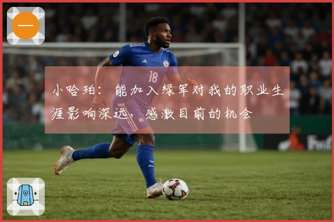 小哈珀：能加入绿军对我的职业生涯影响深远，感激目前的机会