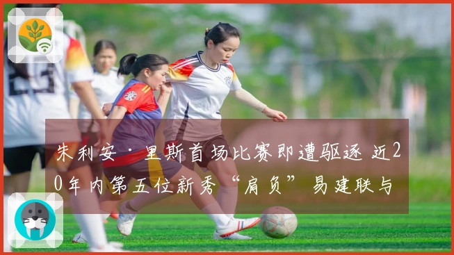 朱利安·里斯首场比赛即遭驱逐 近20年内第五位新秀“肩负”易建联与埃迪的重任